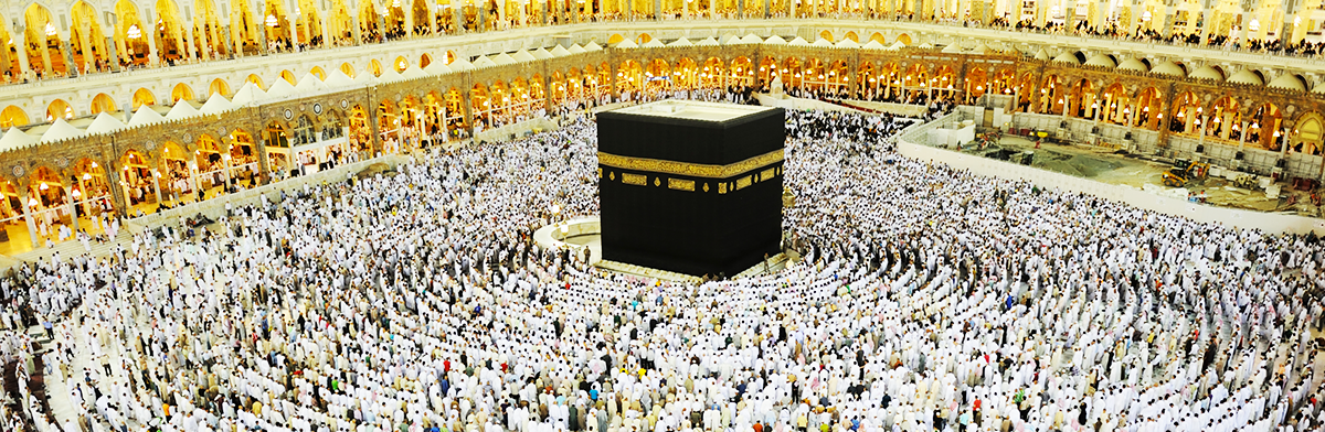 الحج يوم بيوم